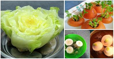 10 loại rau củ trồng từ rễ cây vứt đi, bạn biết chưa?