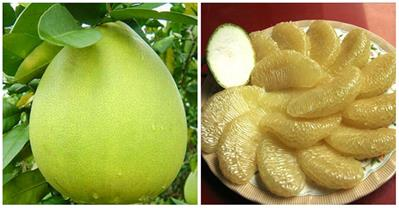  18 công dụng tuyệt vời của quả bưởi trong mùa hanh khô
