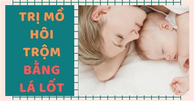 3 cách trị mồ hôi trộm bằng lá lốt cho trẻ tại nhà, rẻ mà hiệu quả