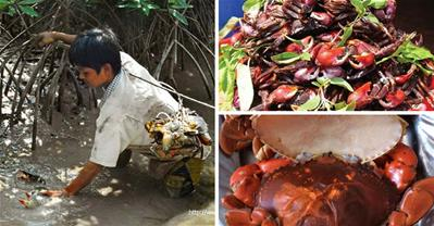 3 giờ khám phá Cà Mau, ăn bét nhè đặc sản với Út Cà Mau