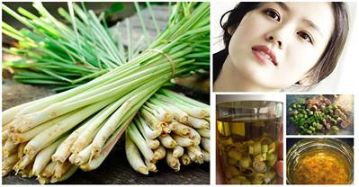 3 mẹo làm đẹp từ cây sả con gái nhất định phải biết 