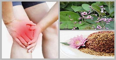 5 bài thuốc trị dứt điểm nhức mỏi xương khớp tại nhà