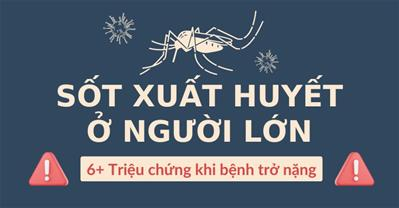 6 triệu chứng sốt xuất huyết ở người lớn CẢNH BÁO nguy kịch
