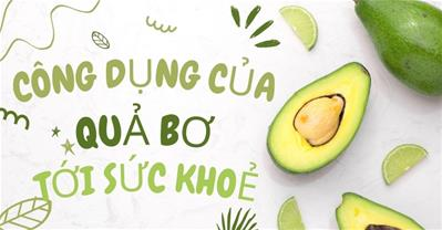 Ăn bơ có tác dụng gì, có tốt không? Các công dụng của quả bơ