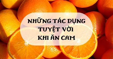 Ăn cam có vitamin gì, có tác dụng gì - Chìa khóa cho một sức khỏe vàng