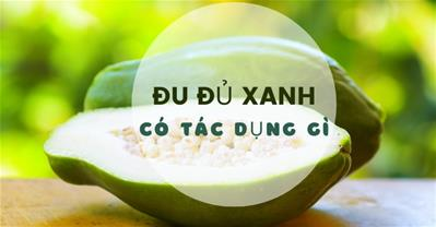 Ăn đu đủ xanh có tác dụng gì? Những tác dụng tuyệt vời của đu đủ xanh