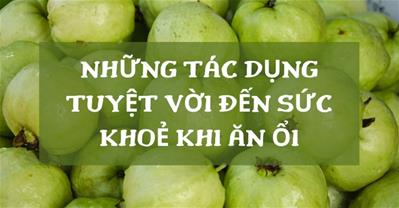Ăn ổi có tác dụng gì? 10 lợi ích không thể bỏ qua của quả ổi