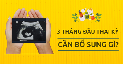 Bà bầu cần bổ sung gì trong 3 tháng đầu? Top thực phẩm tốt cho bà bầu