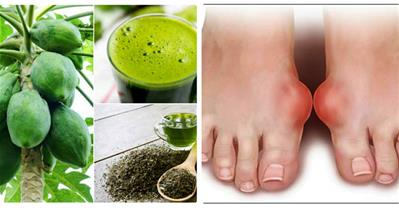 Bài thuốc chữa gout từ đủ đủ và trà xanh hiệu quả 