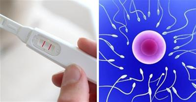 Bài thuốc chữa tinh trùng yếu cho chồng của lương y