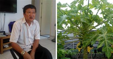 Bài thuốc chữa ung thư bệnh viên trả về từ lá đu đủ