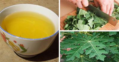 Bài thuốc chữa ung thư được các chính trị gia tin dùng