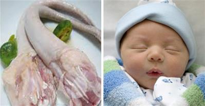 Bài thuốc chữa vô sinh hiếm muộn từ đuôi lợn hiệu quả