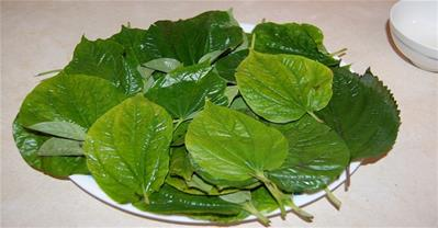 Bài thuốc trị dứt điểm viêm xoang nhờ nắm lá rẻ tiền