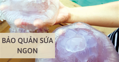 Bảo quản sứa biển, sứa khô tươi lâu đúng cách
