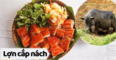Bật cười cái tên LỢN CẮP NÁCH, hiểu ra mới thấy nó ngon cỡ nào