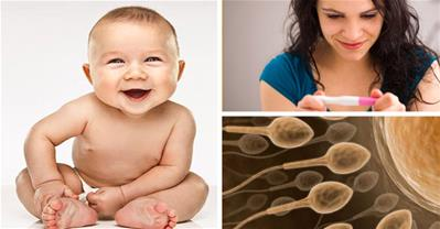 Bật mí bí quyết sinh con trai nối dõi tông đường