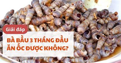 Bầu 3 tháng đầu ăn ốc được không? Cẩn thận kẻo đau bụng khi ăn sai cách