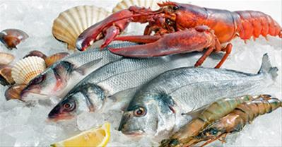 Bí quyết chọn hải sản tươi ngon không nhiễm hóa chất