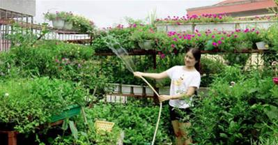 Bí quyết trồng rau sạch trên ban công chưa đầy 3m2