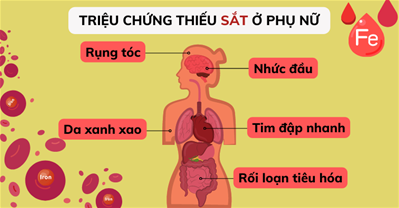 Biểu hiện thiếu sắt ở phụ nữ là gì? Tại sao phụ nữ dễ bị thiếu sắt hơn?
