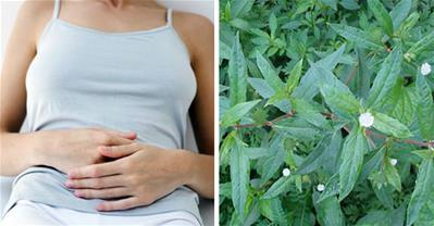 Các biện pháp chữa rong kinh hiệu quả ngay