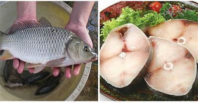Cách kho cá đậm đà thơm ngon, không bị nát