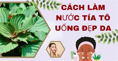 Cách làm nước tía tô uống đẹp da - Giúp da sáng mịn với 10 công thức sau