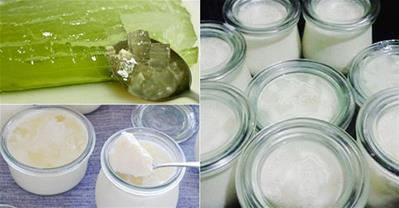 Cách làm sữa chua nha đam cực ngon hạ nhiệt mùa hè