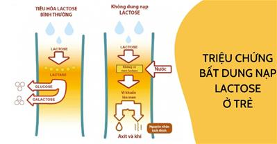 Cách nhận biết trẻ bất dung nạp lactose và những thực phẩm bé nên ăn