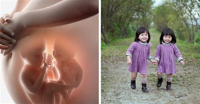 Cách sinh đôi, sinh ba kiến thức cần biết cho vợ chồng