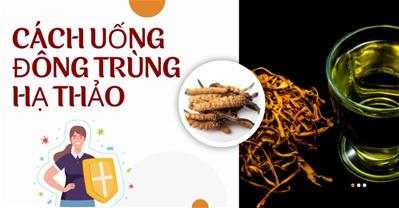 Cách uống đông trùng hạ thảo để nâng cao sức khoẻ