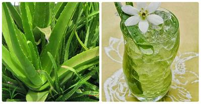 Chữa khỏi ung thư cổ tử cung không cần đến trị xạ