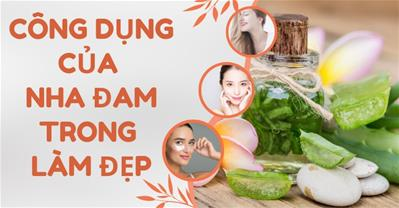 Công dụng của nha đam trong làm đẹp nhất định chị em phải biết để tận dụng