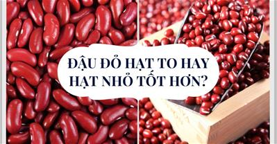 Đậu đỏ hạt to hay hạt nhỏ tốt hơn? Có nên chọn theo kích thước hay không?