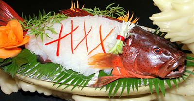 Đến Thế Giới Hải Sản truy tìm các loại cá độc đáo, bổ dưỡng từ biển khơi