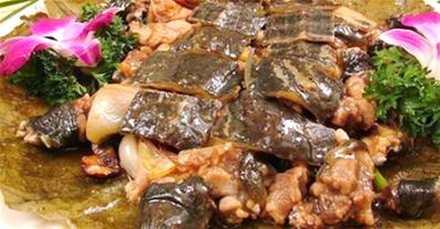Độc đáo, lạ miệng với món ba ba hấp lá sen