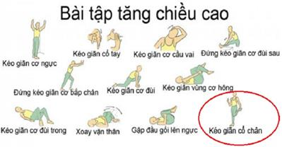 Động tác giúp vòng 3 nở 5 cm, cao hơn 4 cm sau 1 tháng