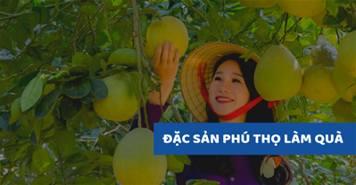 Du lịch Đền Hùng nhất định phải mua 5 đặc sản Phú Thọ làm quà này