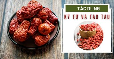 Giải đáp: Táo đỏ kỷ tử có tác dụng gì, uống mỗi ngày có tốt không?