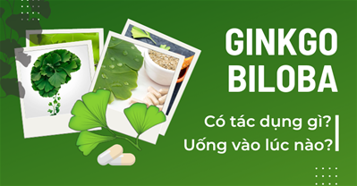 Ginkgo biloba có tác dụng gì? Uống ginkgo biloba vào lúc nào tốt?
