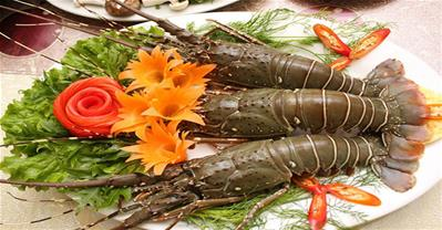 Hải Sản Biển Đông – Phố hải sản tươi sạch từ biển khơi