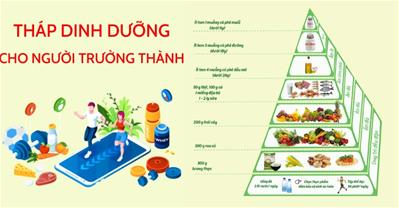Hiểu và áp dụng đúng tháp dinh dưỡng cho người trưởng thành