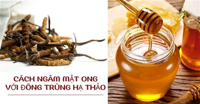 Hướng dẫn: Cách ngâm mật ong với đông trùng hạ thảo đơn giản tại nhà
