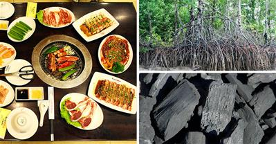 Khám phá nghệ thuật 