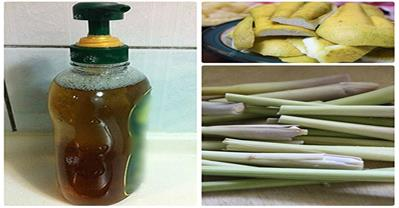 Khéo tay làm nước rửa chén, vừa sạch vừa không hóa chất