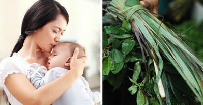 Kinh nghiệm phụ nữ sau sinh giúp hồi phục sau 1 tháng