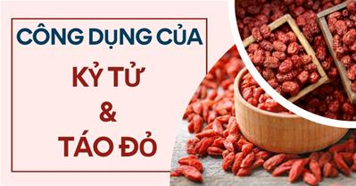 Kỷ tử táo đỏ có tác dụng gì? Các lợi ích đáng kinh ngạc của kỷ tử và táo đỏ