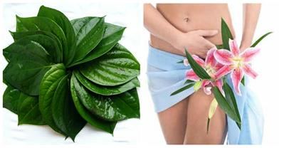Làm hồng, se khít vùng kín chỉ với một bước đơn giản