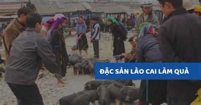 Lào Cai có món gì ngon? 5 đặc sản Lào Cai ăn ngon và làm quà ý nghĩa 